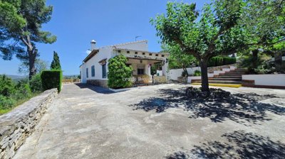 property271088913