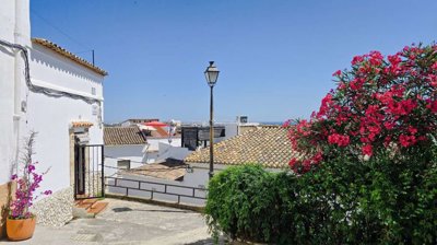 property271433887