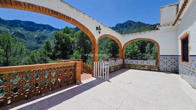 property27203596