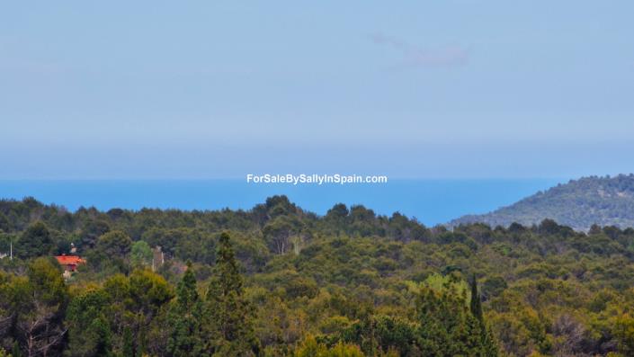 Image No.50-Villa de 6 chambres à vendre à Villalonga