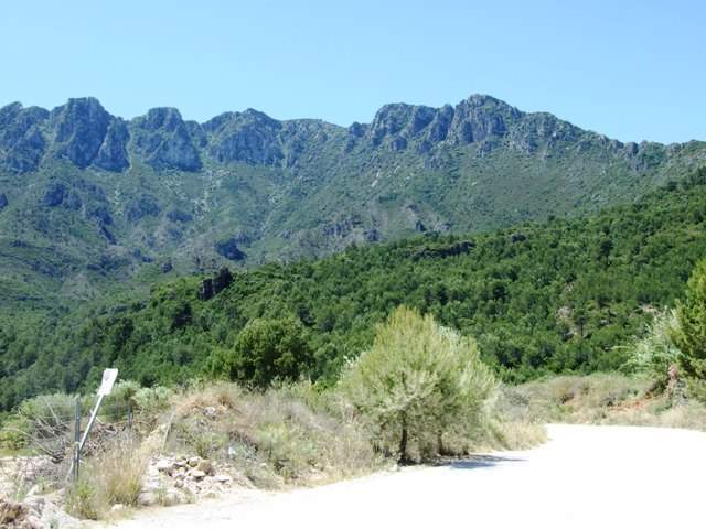 Image No.49-Maison de 4 chambres à vendre à Villalonga