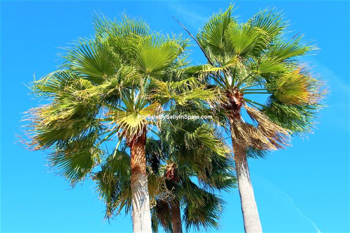 Image No.7-Villa de 4 chambres à vendre à Gandía