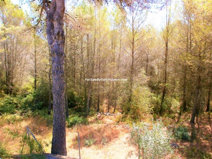 Image No.37-Villa de 4 chambres à vendre à Villalonga