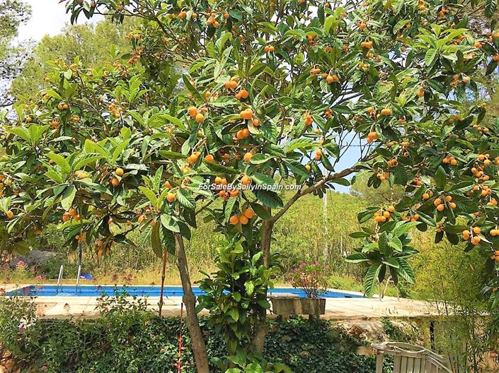 Image No.16-Villa de 4 chambres à vendre à Villalonga