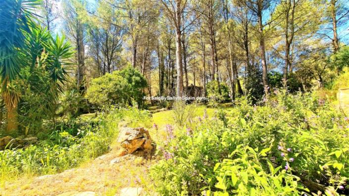 Image No.15-Villa de 4 chambres à vendre à Villalonga