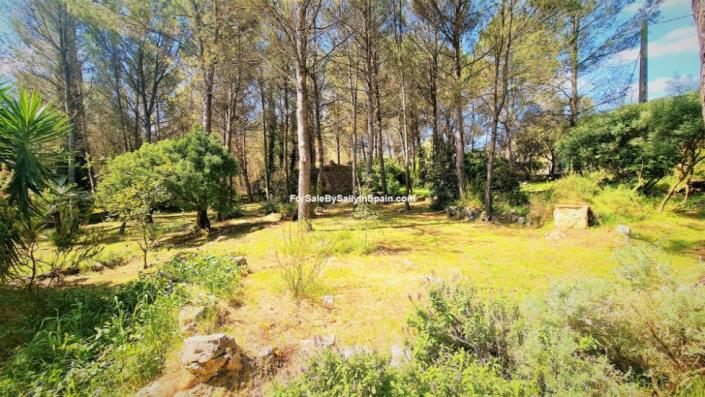 Image No.14-Villa de 4 chambres à vendre à Villalonga