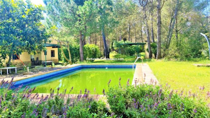 Image No.41-Villa de 4 chambres à vendre à Villalonga