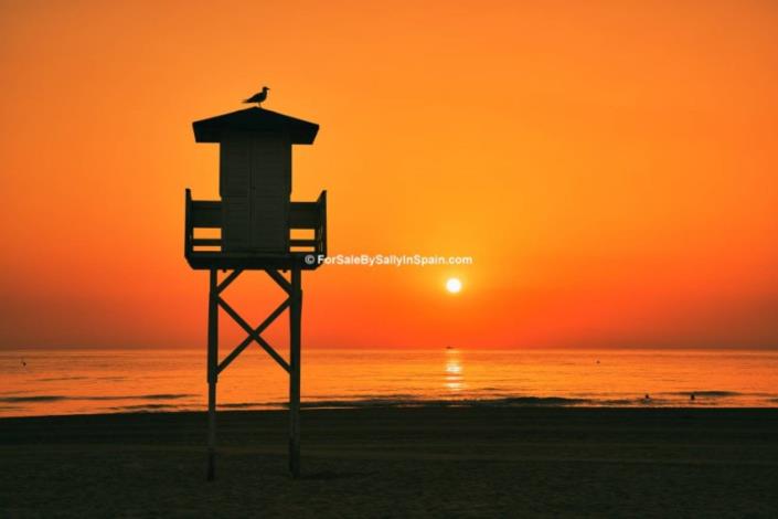 Image No.42-Villa de 4 chambres à vendre à Barx