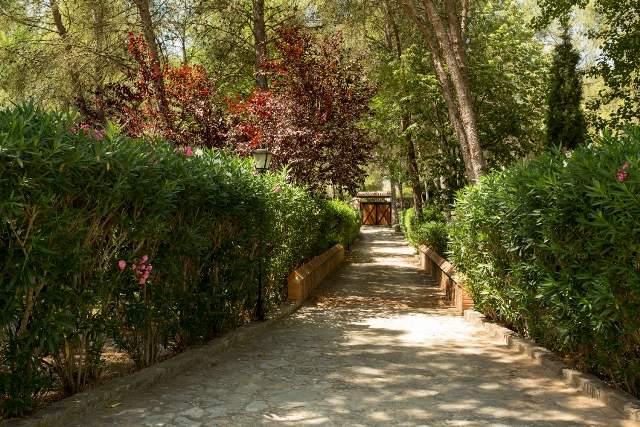 Image No.19-Villa de 5 chambres à vendre à Barxeta