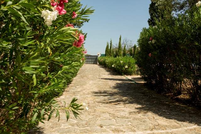 Image No.21-Villa de 5 chambres à vendre à Barxeta