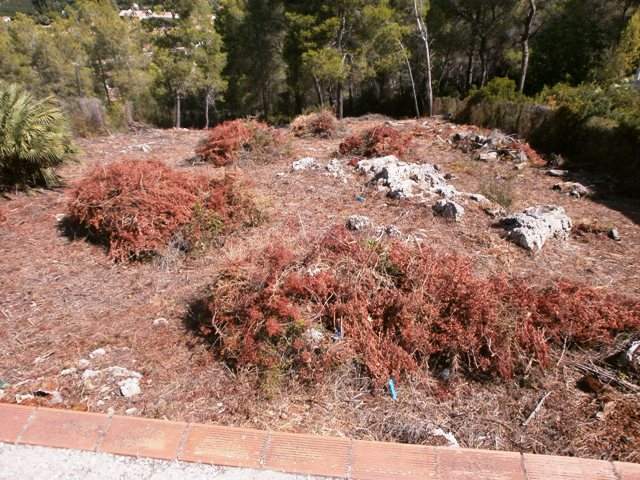 Image No.10-Land for sale