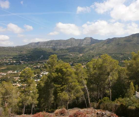 Image No.8-Land for sale