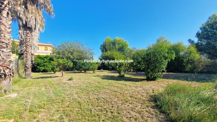 Image No.11-Villa de 8 chambres à vendre à Benicolet