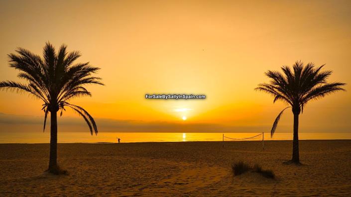 Image No.57-Villa de 8 chambres à vendre à Benicolet