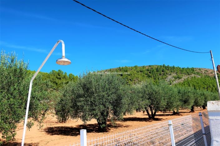 Image No.8-3 Bed Villa for sale