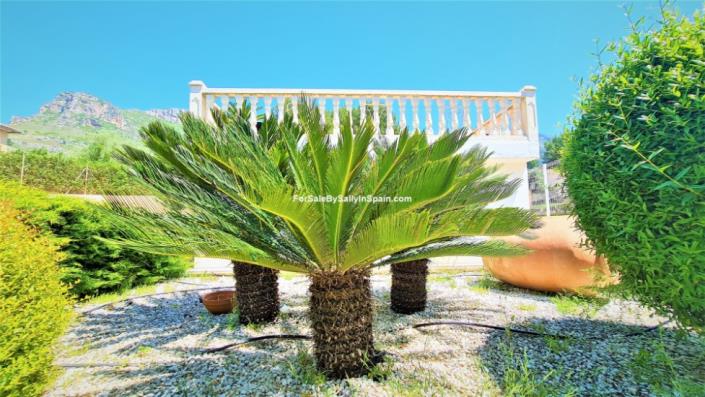 Image No.34-Villa de 3 chambres à vendre à La Drova