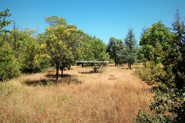 Image No.21-10 Bed Villa for sale