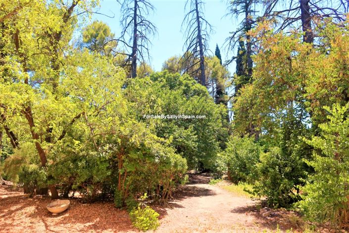 Image No.28-10 Bed Villa for sale