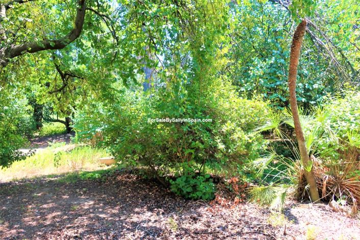 Image No.34-10 Bed Villa for sale