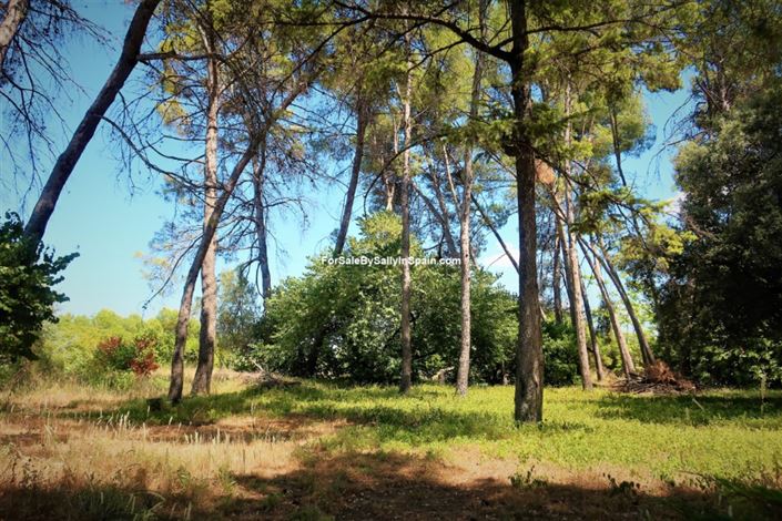 Image No.35-10 Bed Villa for sale