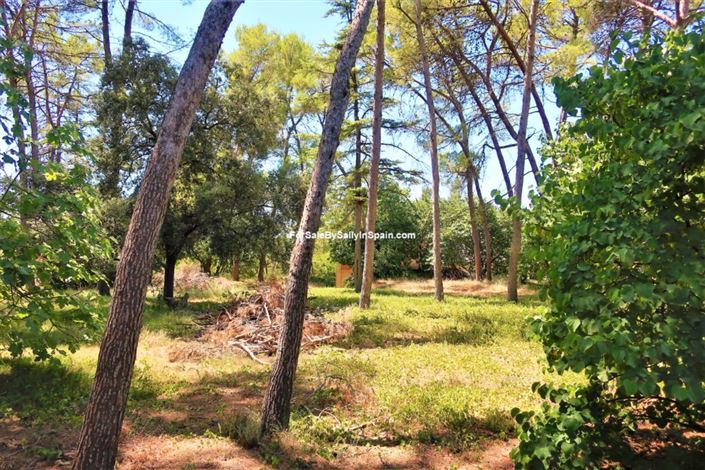 Image No.36-10 Bed Villa for sale