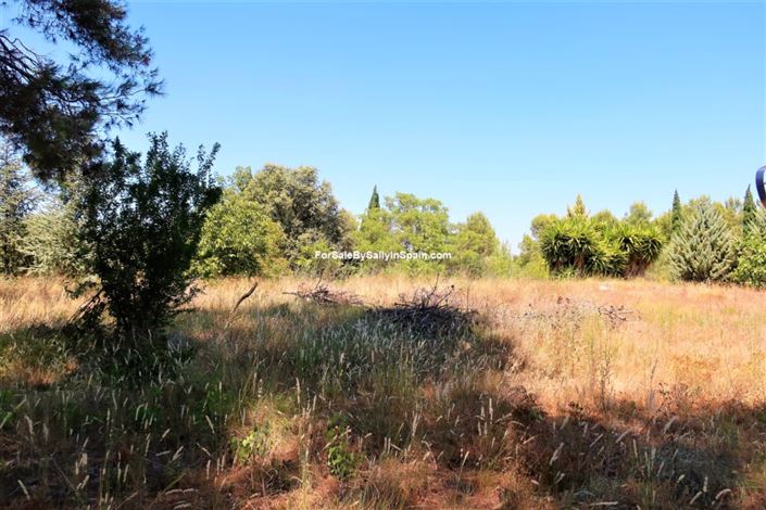 Image No.38-10 Bed Villa for sale