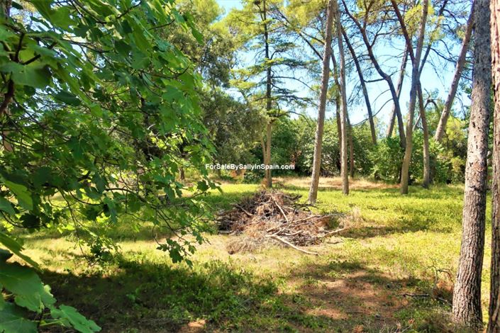 Image No.39-10 Bed Villa for sale