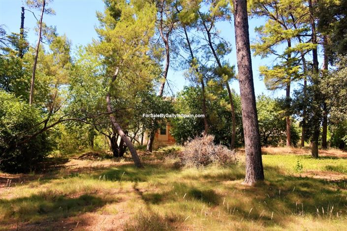 Image No.40-10 Bed Villa for sale