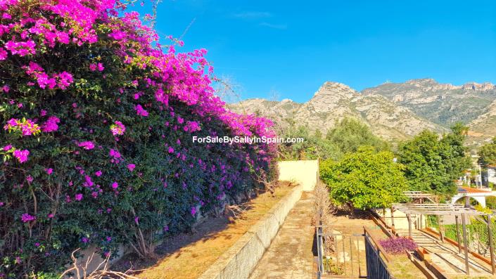 Image No.5-4 Bed Villa for sale