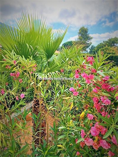 Image No.47-Villa de 4 chambres à vendre à La Drova