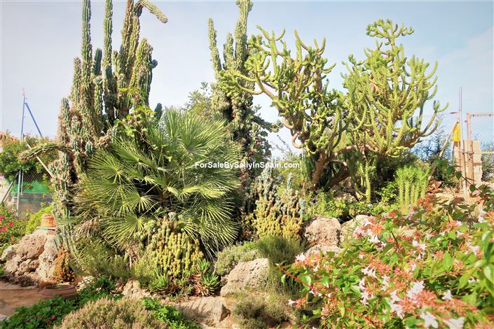 Image No.32-Villa de 4 chambres à vendre à Oliva