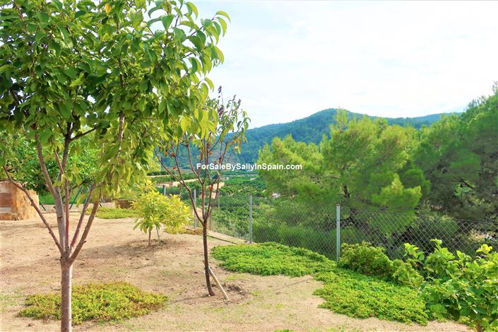 Image No.40-Villa de 4 chambres à vendre à Oliva