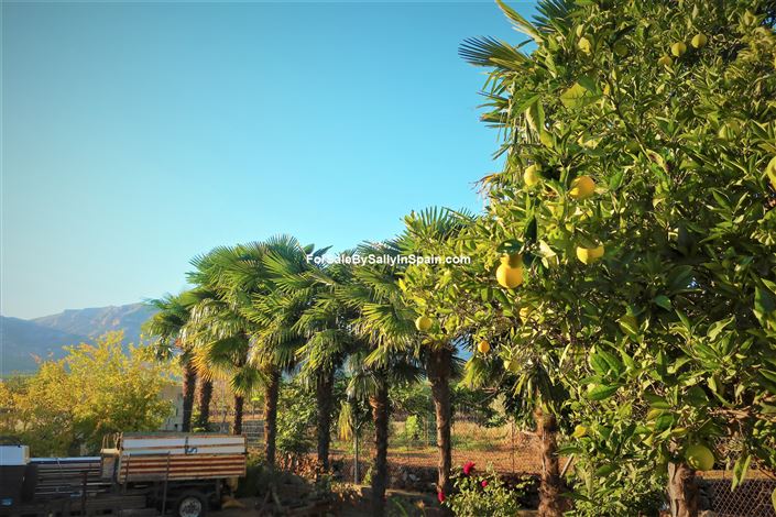 Image No.12-Villa de 5 chambres à vendre à Gandía