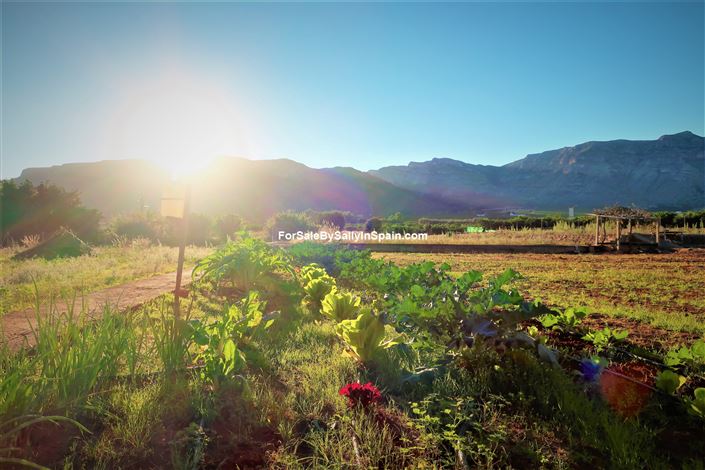 Image No.13-Villa de 5 chambres à vendre à Gandía