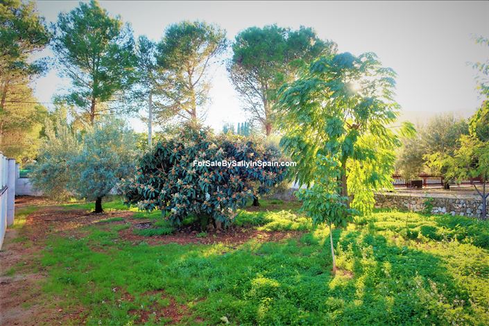 Image No.19-Villa de 5 chambres à vendre à Gandía