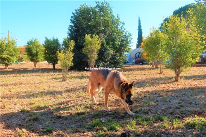 Image No.9-Villa de 4 chambres à vendre à Marxuquera