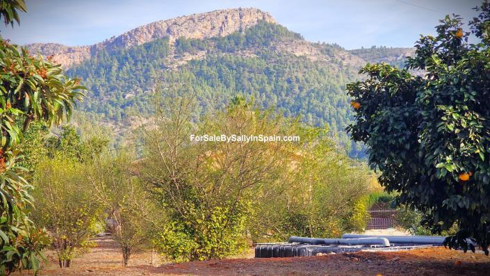 Image No.52-Villa de 4 chambres à vendre à Marxuquera