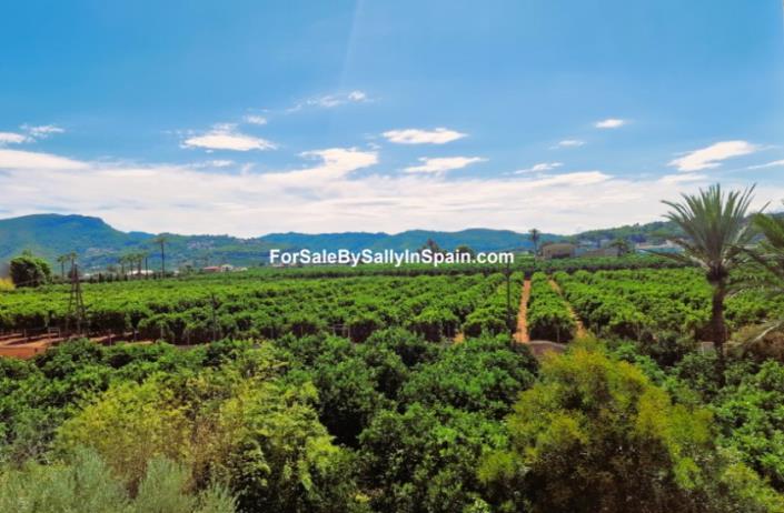 Image No.16-Villa de 5 chambres à vendre à Alzira