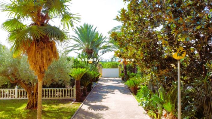 Image No.50-Villa de 5 chambres à vendre à Alzira