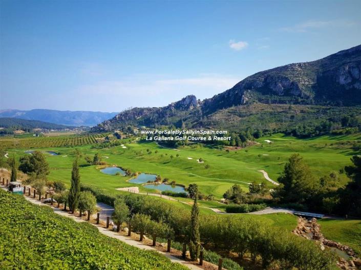 Image No.51-Villa de 5 chambres à vendre à Alzira