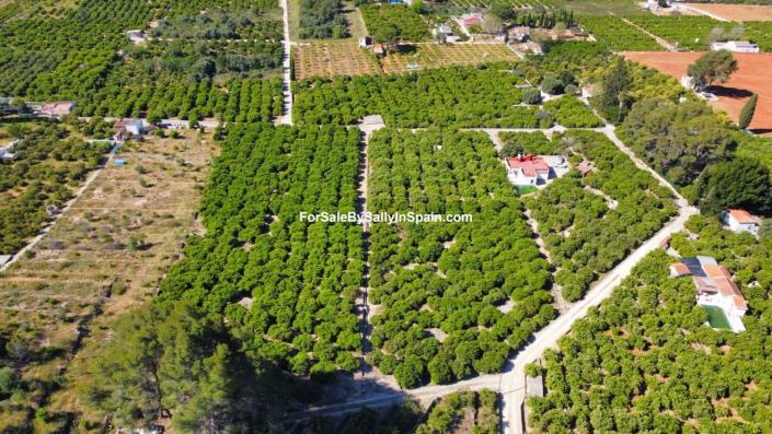 Image No.6-Terre à vendre à Alzira