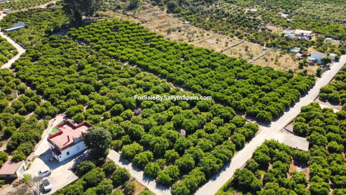 Image No.8-Terre à vendre à Alzira