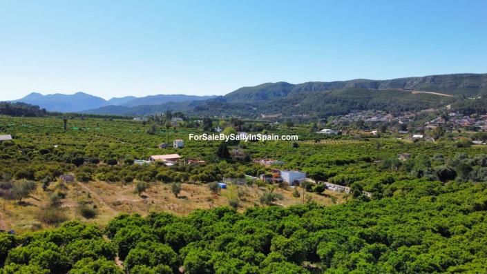 Image No.3-Terre à vendre à Alzira