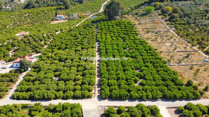 Image No.9-Terre à vendre à Alzira