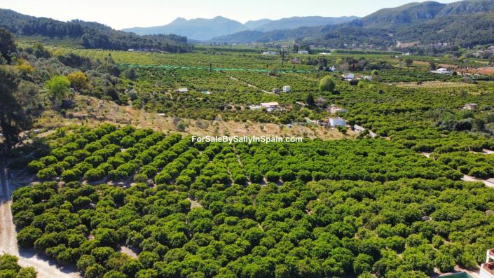 Image No.10-Terre à vendre à Alzira