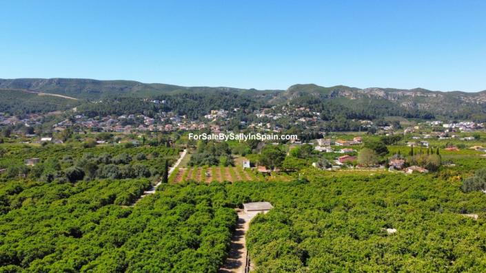 Image No.4-Terre à vendre à Alzira