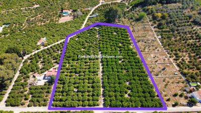 Terre à vendre à Alzira