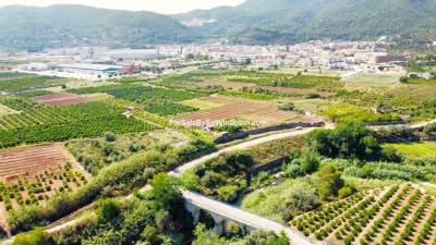 dji_fly_20230704_110506_937_1688462999877_photo_optimized