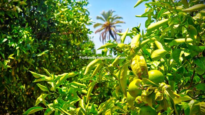 Image No.15-4 Bed Villa for sale