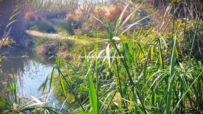 Image No.11-Villa de 3 chambres à vendre à Gandía